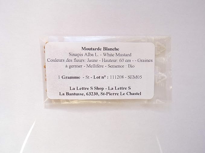 Moutarde Blanche 1 Gramme Sinapis Alba L White