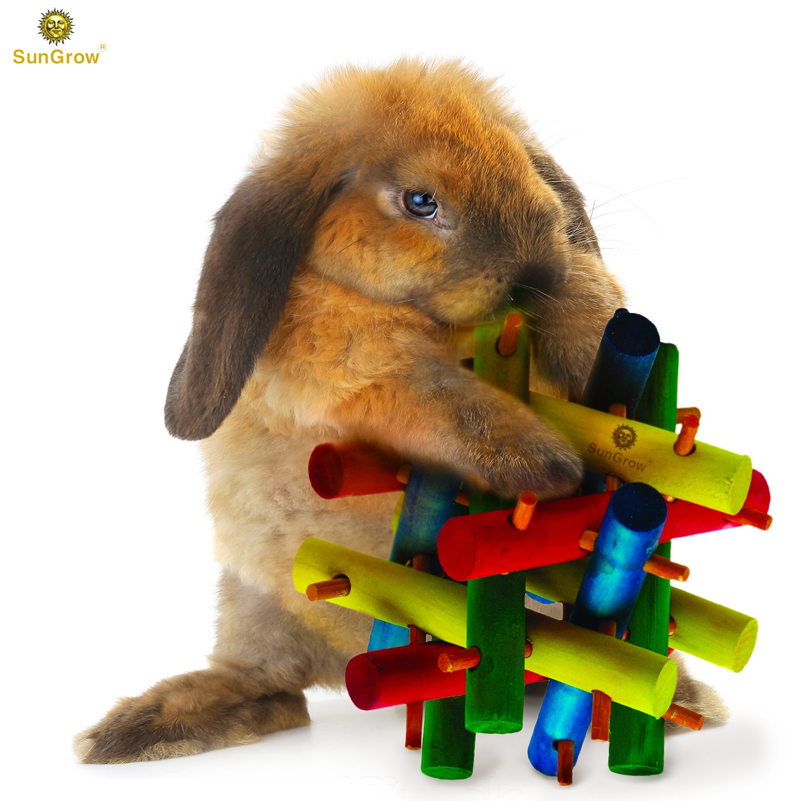 SunGrow Rabbit Wood Knot Nibble Toy: Suitable for Play and Chewing: Bright Colors: Natural Vegetable Dye: Provides stimulation & entertainment: For Rabbits, Guinea pigs & Chinchillas