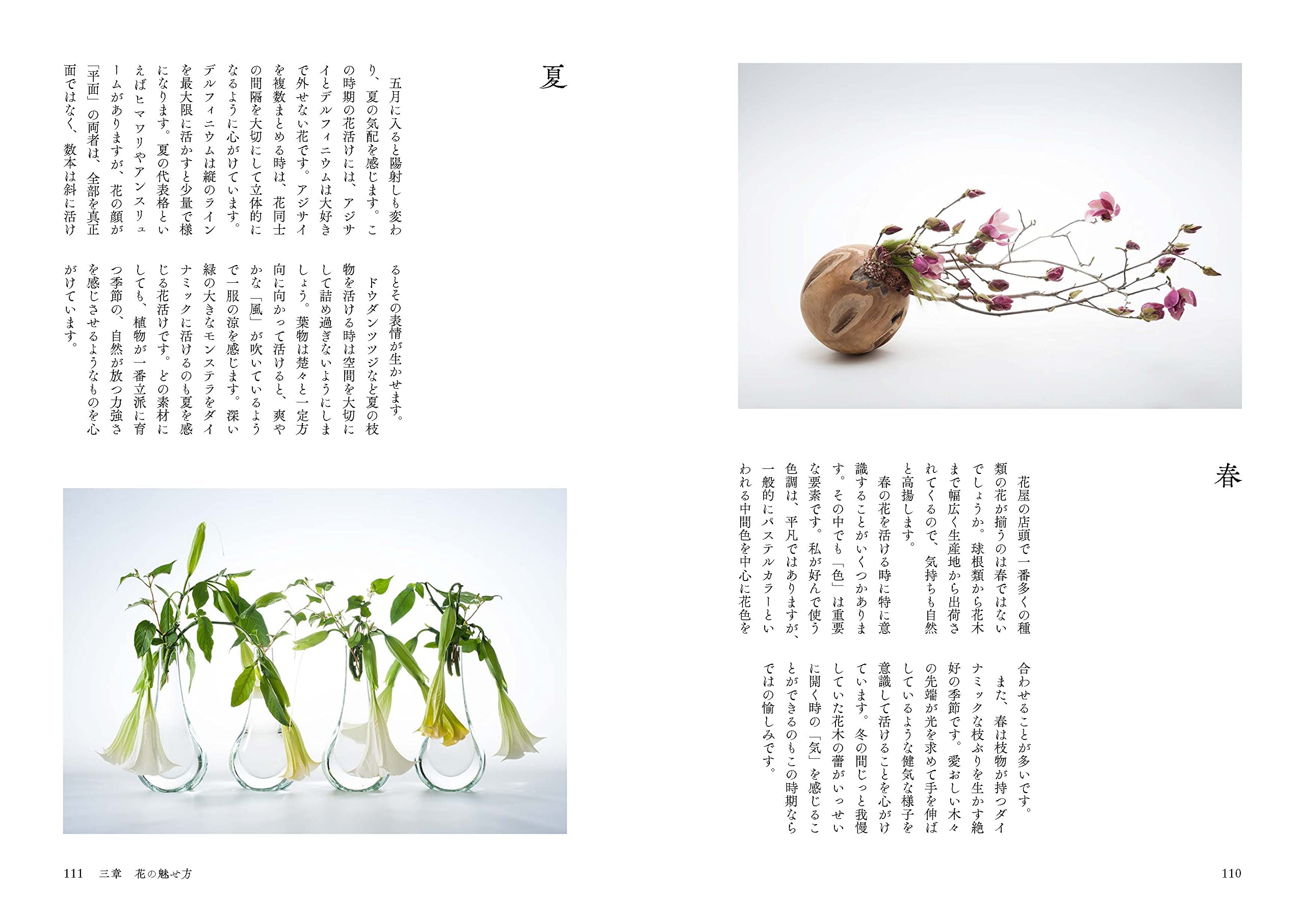 花の本 新井光史 本 通販 Amazon