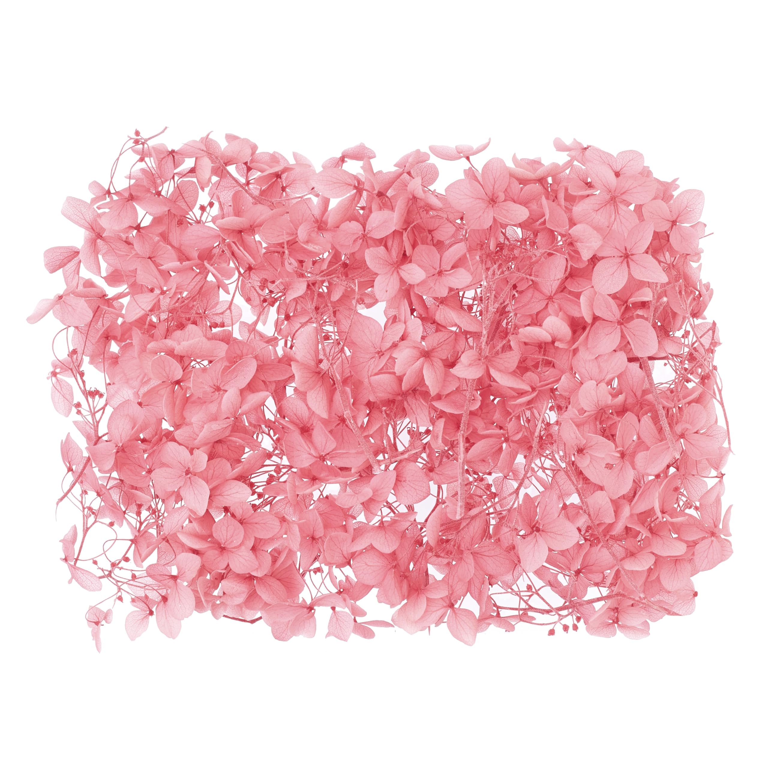 The Baked Studio - Original Dried Flower Hydrangea Set For Cake & Cupcake Decorating & Others Crafts (Pink)