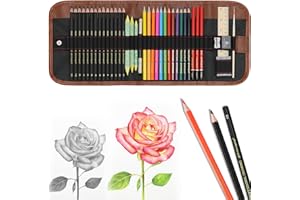 Heshengping, Sketching Pencil Set Drawing Pen Charcoal Sketch Kit Cover Graphite Charcoal Watercolor Pencils Paper Erasable Pen Beginners Artist Children and Adults(39pcs Art Supplies)
