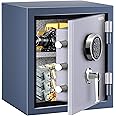 HSDYS Firproof Safe Box 1.0 Cubic Feet,Security Safe With Digital Keypad and Key Lock, Home Safe Locker Box For Documents,Jewelry,Money,Gun Use Storage