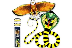 Doinfly Kite for Ages 8-12, Easy to Fly and Assemble Rocket Kites for Beginner, Single Line String Professional Kites for Beach and Outdoor Activity (Eagle & Snake Kite Set)