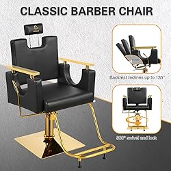 LUXMARS Heavy Duty Barber Chair, 360° Swivel