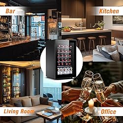 STAIGIS Wine Cooler and Beverage Refrigerator, 20