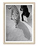 EcoHest Small Cheetah and Jaguar Walking Framed
