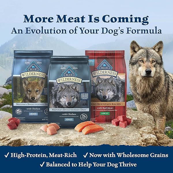 BLUE BUFFALO WILDERNESS HIGH PROTEIN, NATURAL ADULT SMALL BREED DRY DOG FOOD, CHICKEN 11-LB