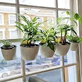 ORIMERC 6 Pack Self Watering Wall Planters White Indoor Outdoor view 8