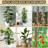 LANNEY Moss Pole 58.7 Inch 149cm 5-Piece Coir Totem Poles for Monstera view 6