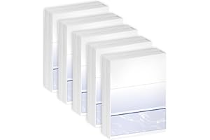 DocuGard Standard Blue Marble Bottom Check, 24 lb, 8.5 x 11 Inches, 2500 Sheets (04517C)