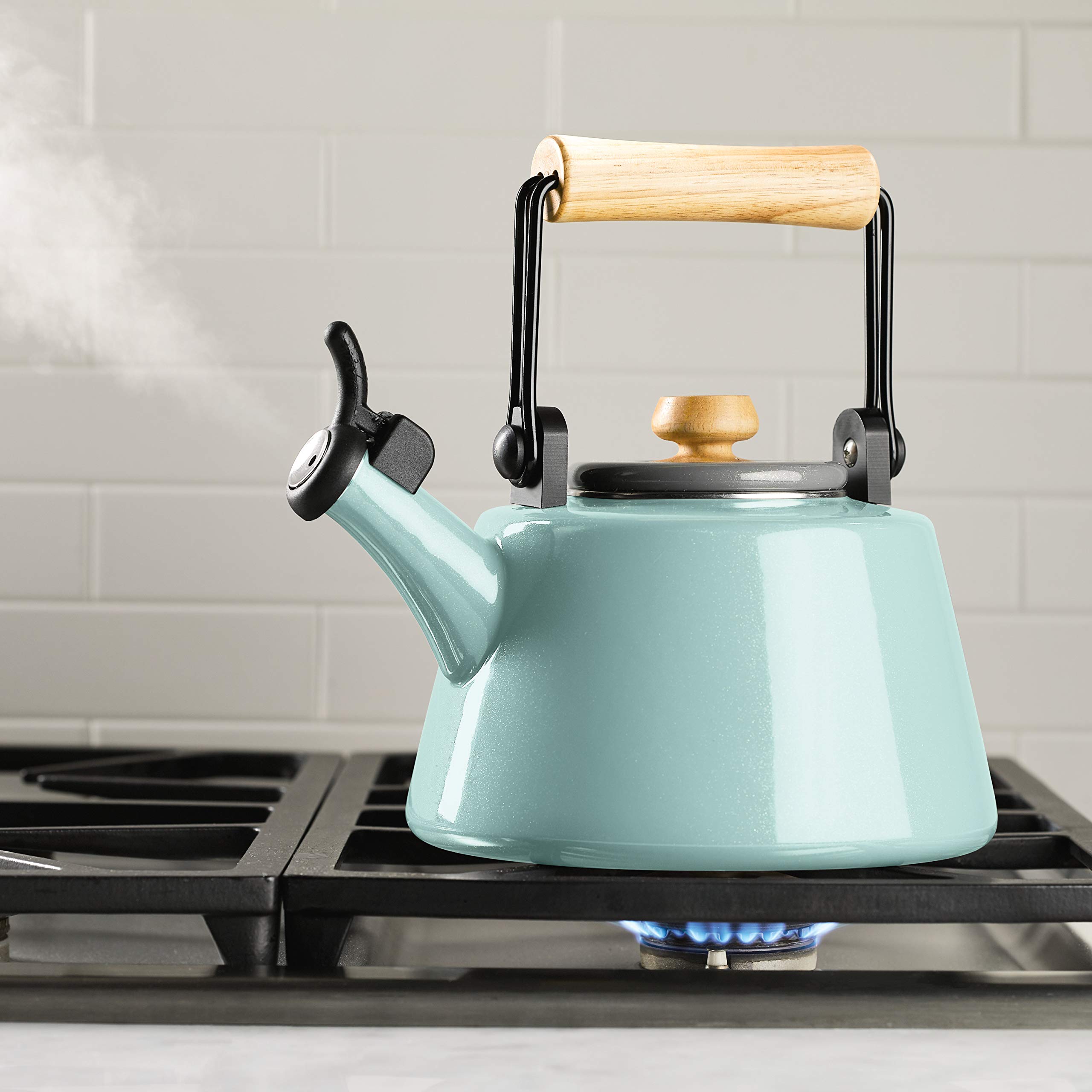 Rachael Ray Enamel on Steel Whistling Kettle/Stovetop Teakettle/Tea Pot