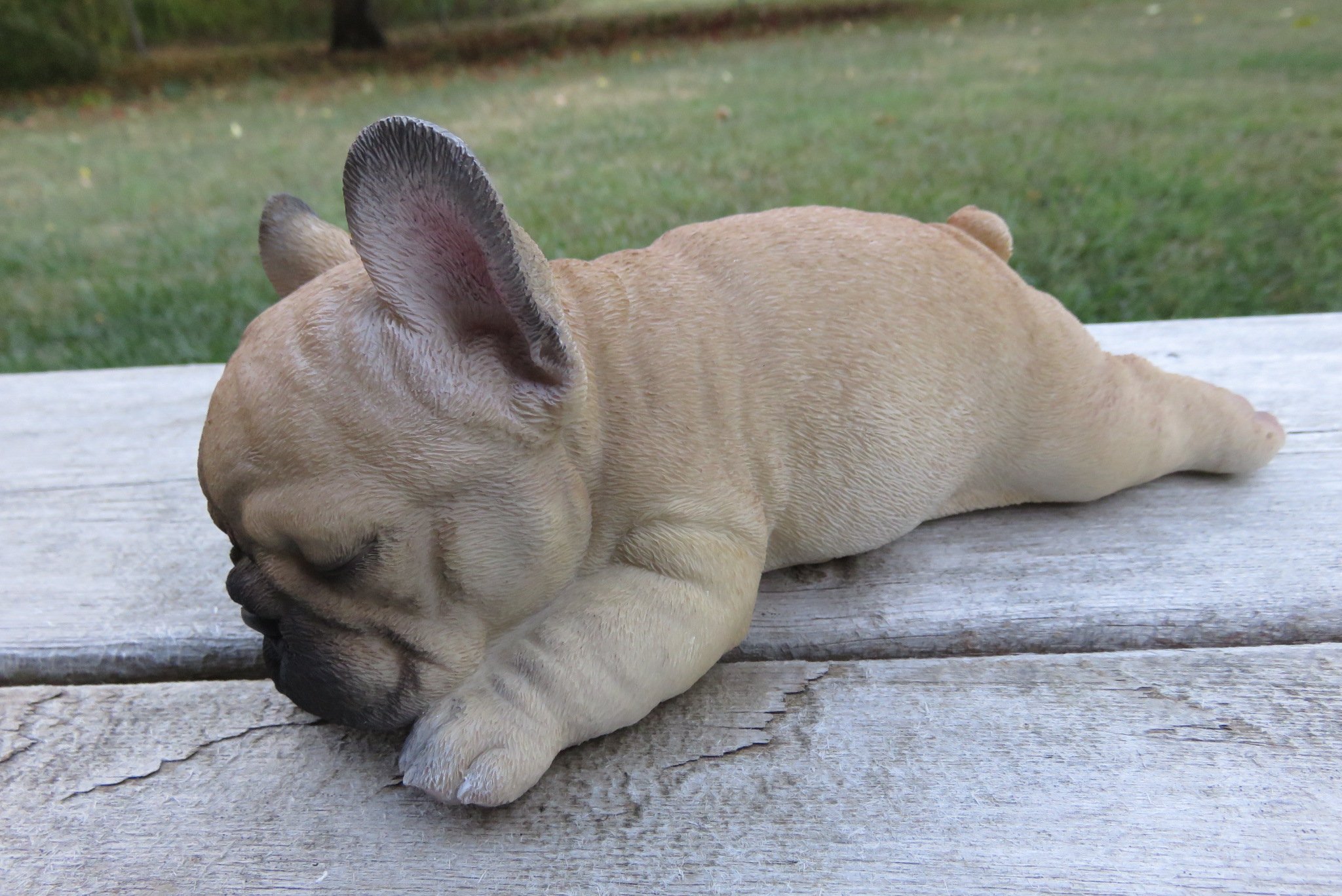 How Much Do French Bulldog Puppies Sleep