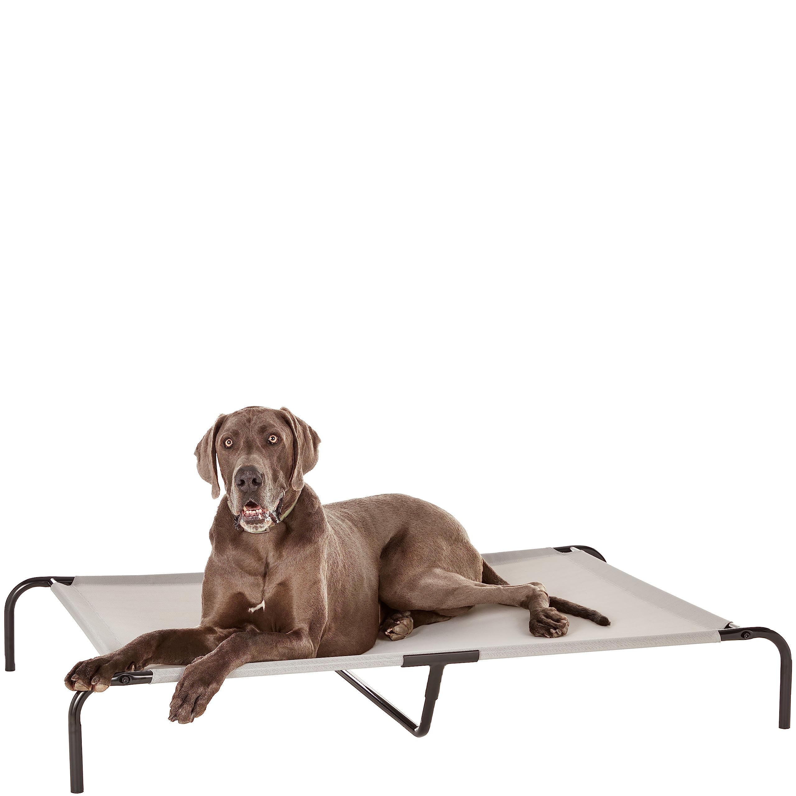 Amazon Basics Raised Dog Bed, Cooling Breathable Elevated Pet Bed, XL, Grey, 153 x 94 x 23 cm (L x W x H)