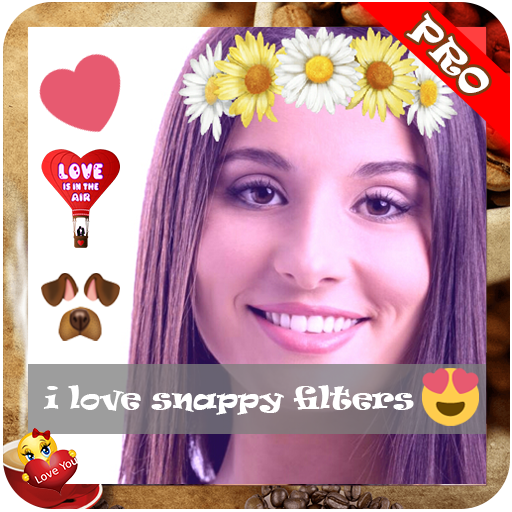 Face Swap Photo Filters Stickers