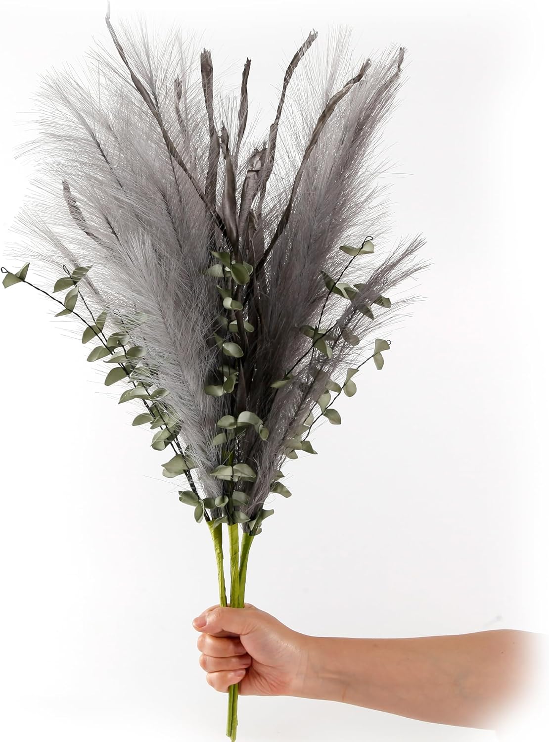 Dried & Preserved Flora - Acfruits 27.5