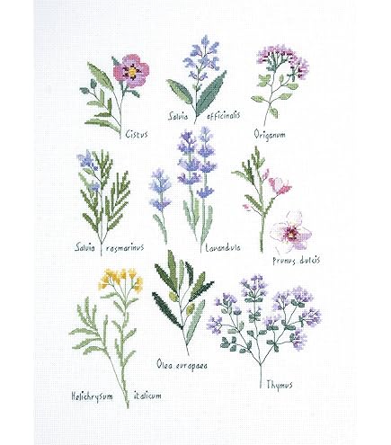 Amazon.com: DMC Hydrangea Embroidery Kit TB19078