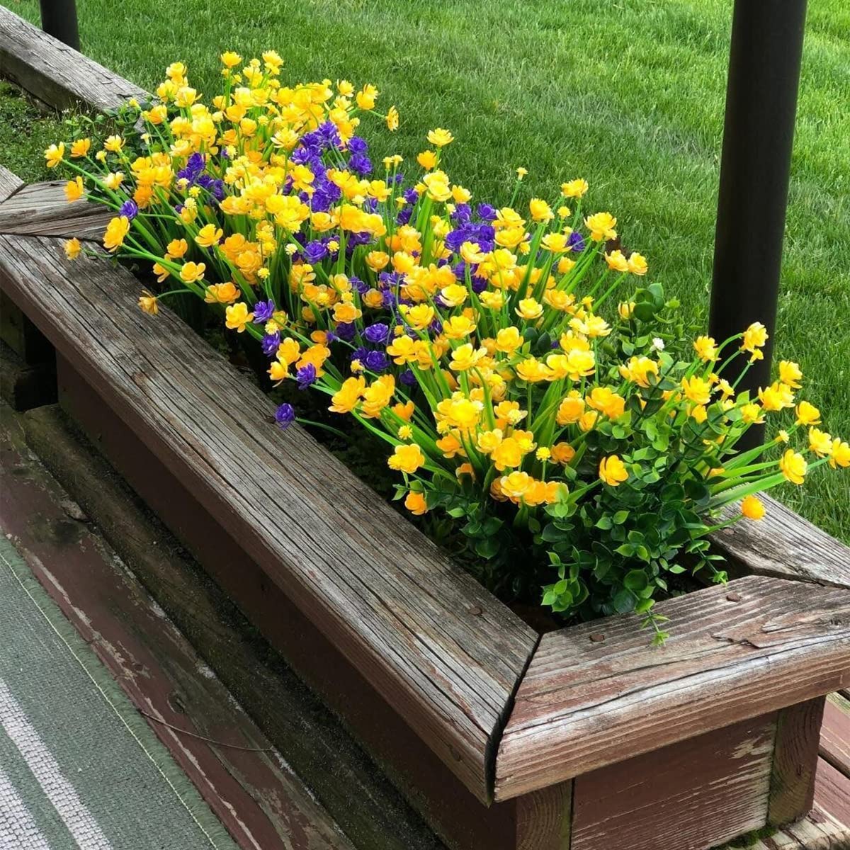 View 5