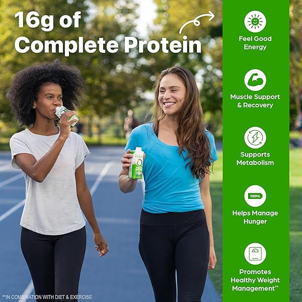 ORGAIN ORGANIC NUTRITIONAL PROTEIN SHAKE, CREAMY CHOCOLATE FUDGE – 16G GRASS FED WHEY PROTEIN, MEAL REPLACEMENT, 20 VITAMINS & MINERALS, FRUITS & VEGETABLES, GLUTEN FREE, NON-GMO, 11 FL OZ (12 PACK)