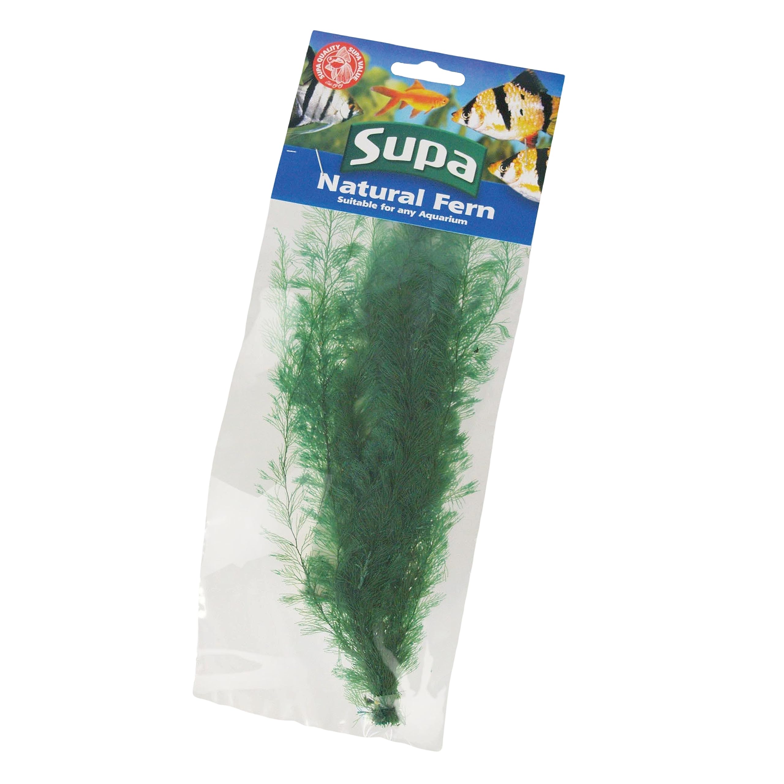 Supa Natural Large Size Green Coloured Fern. Attractive Decoration Which Adds Colour and Movement to Your Aquarium/Fish Tank