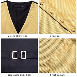 Dubulle Suit Vest Tie Set Mens Gold Plaids Paisley