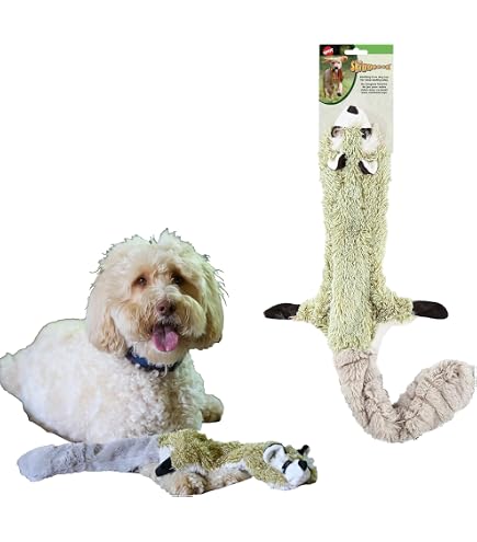 Amazon.com: SPOT Skinneeez Raccoon 23 Inch Stuffing-Free Dog Toy