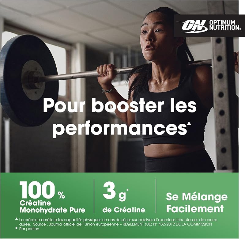 Micronised Creatine Monohydrate en Poudre, 317g