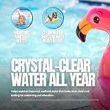 Pro-Kleen Pool Algaecide Algae Remover 5L for Pools & Spas - Clear Water view 7
