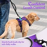 rabbitgoo Small Dog Harness No Pull Reflective with 2 Leash Clips Purple S view 7