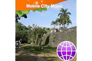 Cebu City Street Map