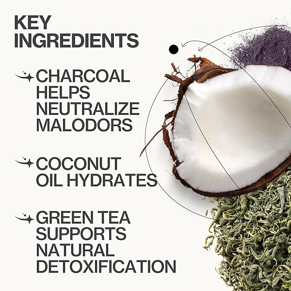 PACIFICA UNDERARM BODY SCRUB – ARMPIT DETOX COCONUT & CHARCOAL DEODORANT– EXFOLIATING & NOURISHING FOR NATURAL DEODORANT USERS – ALUMINUM-FREE & SAFE FOR SENSITIVE SKIN, VEGAN & CRUELTY-FREE, 7 FL OZ
