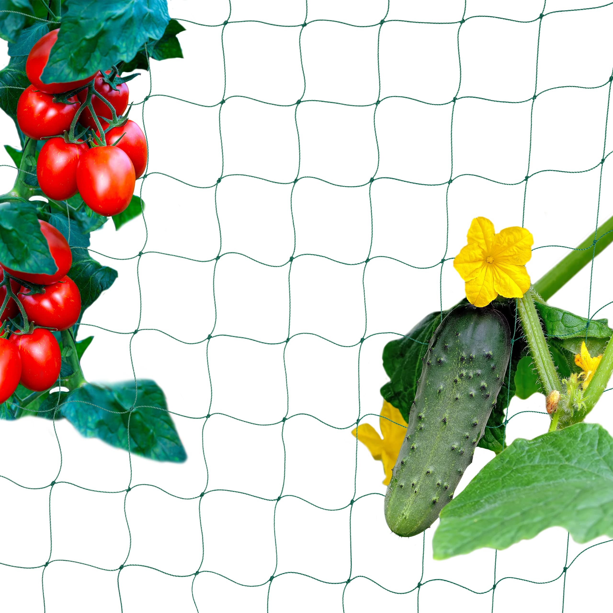 Relaxdays Creeper Net for Greenhouse, HxW: 180x360 cm, Climbing Support, Cucumber, Tomato, Mesh 10 cm, Green