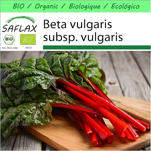 SAFLAX - Garden to Go - Ecológico - Acelga blanca (betabel) - 50 ...