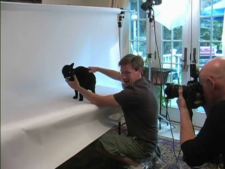 Dog Matthew Van Fleet, Brian Stanton 8601401063407 Books