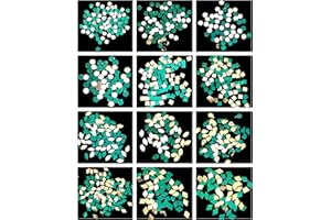 Teraiya's 12 Very Small Mirrors Kit with Free Storage Box for Lippan Art and Art Craft Work Mandala Art Work (2400 Pcs)