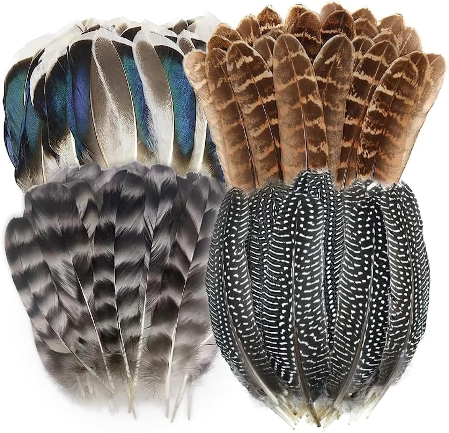 Photo 1 of 40pcs Natural Pheasant Feathers, Spotted Feathers, Turkey Feathers, 4 Styles Feathers for Crafts DIY Hat Floral Arrangements Wing Quill Wedding Home Party