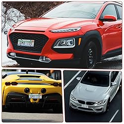 License Plate Protector 2 Pack, Clear License Plate