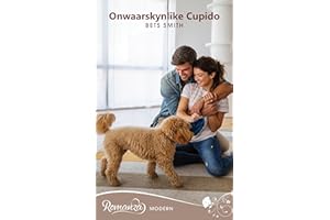 Onwaarskynlike Cupido (Romanza Modern) (Afrikaans Edition)