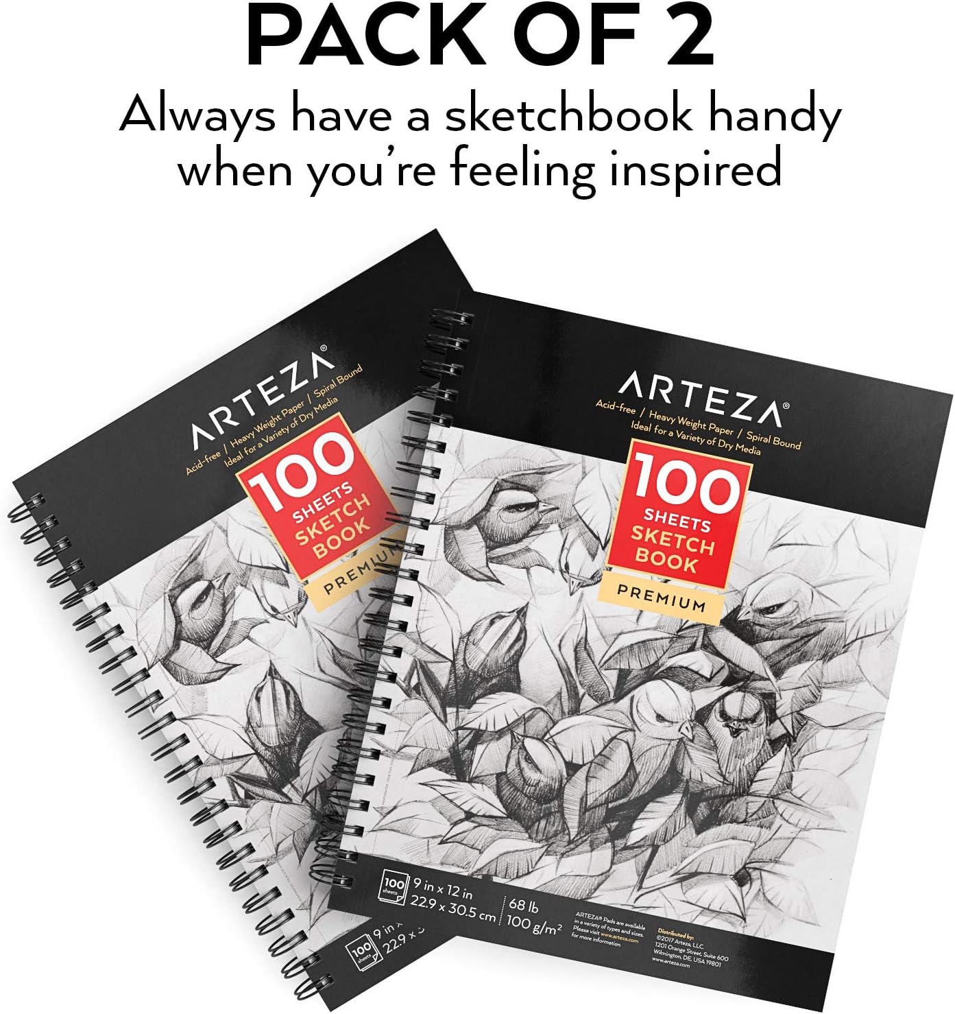 ARTEZA 9X12 Sketch Book, Pack of 2, 200 Sheets (68 lb/100gsm), Spiral Bound Artist Sketch Pad, 100 Sheets Each, Durable Acid Free Drawing Paper, Ideal for Adults & Teens, Bright White