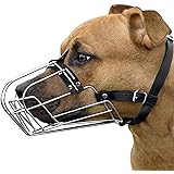 greyhound muzzle amazon