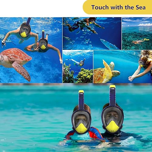 Unterwasserwelt mit einer Schnorchelmaske erleben