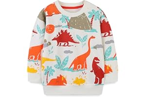AMIYAN Toddler Boys Sweatshirts Cotton Long Sleeve Pullover Girls Crewneck Tops Cartoon Sport Shirts for Kids 2-6Y