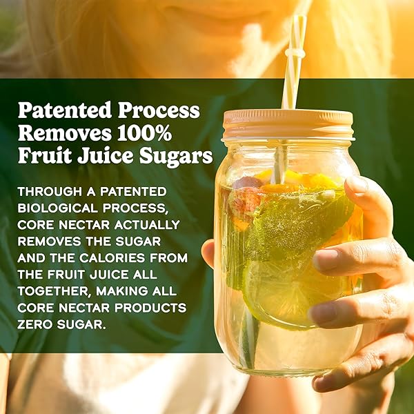 ZERO SUGAR LEMONADE JUICE PACKETS – 100% SUGAR FREE, NATURAL SWEETENED, DIABETIC, KETO & FASTING FRIENDLY – MADE WITH REAL FRUIT & CLEAN INGREDIENTS – ALL SUGAR REMOVED NATURAL BEVERAGE JUICE -10 STICKS