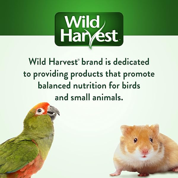 WILD HARVEST FRUIT KABOBS, 6 COUNT, FOR PET RABBITS, GUINEA PIGS, HAMSTERS, GERBILS, MICE AND RATS