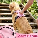 Funfox Dog Harness Medium Front Clip No Pull Reflective Pink M view 5