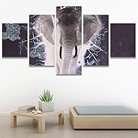 SIGNWIN 5 Panel Canvas Wall Art Modern Art Animals Dramatic Giraffe Lion Multicolor Photography Southwest for Home Decorations Ready to Hang - 60