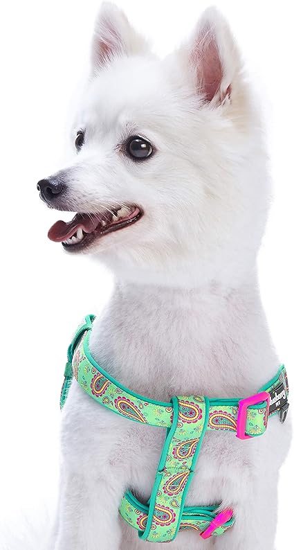 pet valu harness