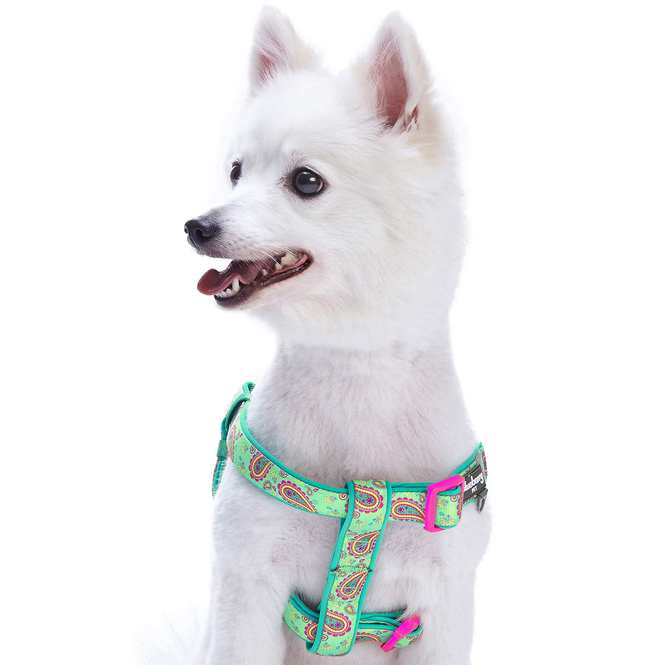 Blueberry Pet Step-in Emerald Green Paisley Flower Print Dog Harness, Chest Girth 20"-26"