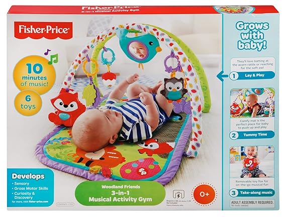 fisher price 3 in 1 activity gym