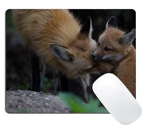 Amazoncom Wknoon Gaming Mouse Pad Custom Design Cute Baby Fox