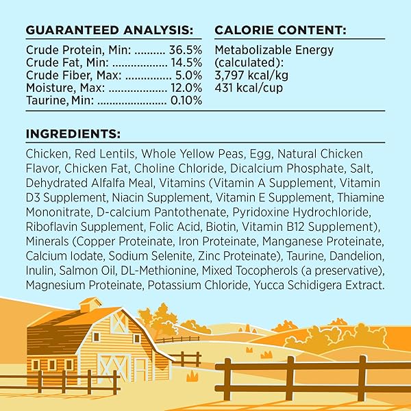 BIXBI LIBERTY DRY CAT FOOD KITTEN HEALTH CHICKEN RECIPE, 2.5LB